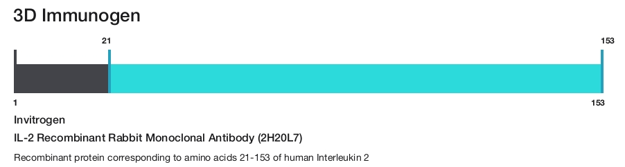 IL-2 Recombinant Rabbit Monoclonal Antibody (2H20L7)
