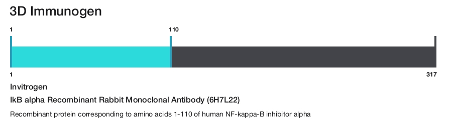 IkB alpha Recombinant Rabbit Monoclonal Antibody (6H7L22)