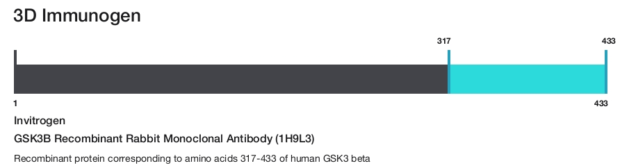 GSK3B Recombinant Rabbit Monoclonal Antibody (1H9L3)