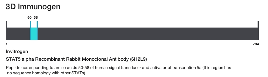 STAT5 alpha Recombinant Rabbit Monoclonal Antibody (6H2L9)
