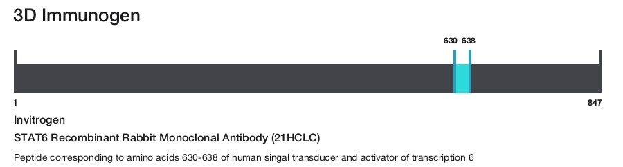 STAT6 Recombinant Rabbit Monoclonal Antibody (21HCLC)