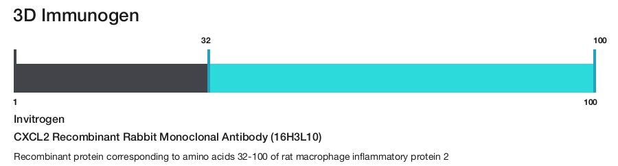 CXCL2 Recombinant Rabbit Monoclonal Antibody (16H3L10)