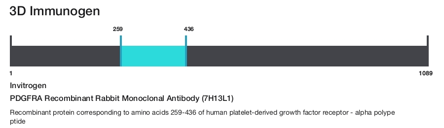PDGFRA Recombinant Rabbit Monoclonal Antibody (7H13L1)