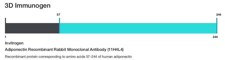 Adiponectin Recombinant Rabbit Monoclonal Antibody (11H4L4)
