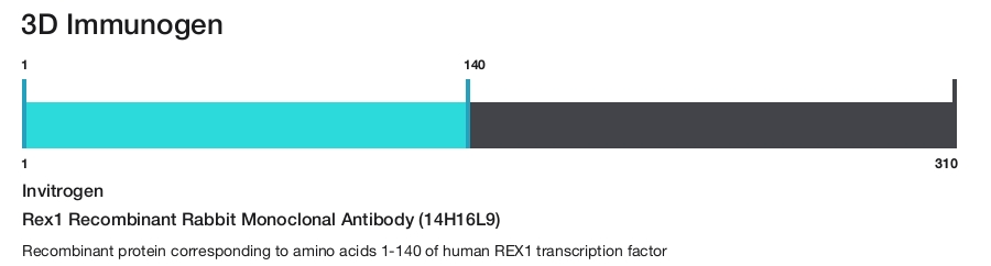 Rex1 Recombinant Rabbit Monoclonal Antibody (14H16L9)