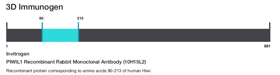 PIWIL1 Recombinant Rabbit Monoclonal Antibody (10H15L2)