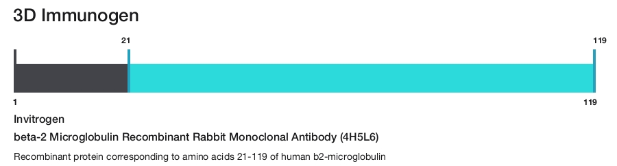 beta-2 Microglobulin Recombinant Rabbit Monoclonal Antibody (4H5L6)