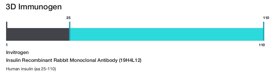 Insulin Recombinant Rabbit Monoclonal Antibody (19H4L12)