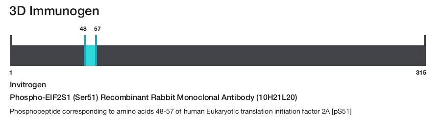 Phospho-EIF2S1 (Ser51) Recombinant Rabbit Monoclonal Antibody (10H21L20)