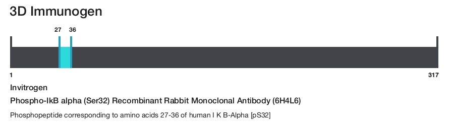 Phospho-IkB alpha (Ser32) Recombinant Rabbit Monoclonal Antibody (6H4L6)