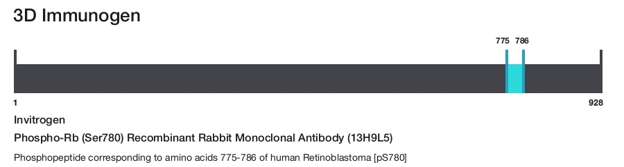 Phospho-Rb (Ser780) Recombinant Rabbit Monoclonal Antibody (13H9L5)