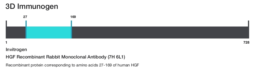HGF Recombinant Rabbit Monoclonal Antibody (7H 6L1)