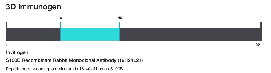 S100B Recombinant Rabbit Monoclonal Antibody (16H24L21)