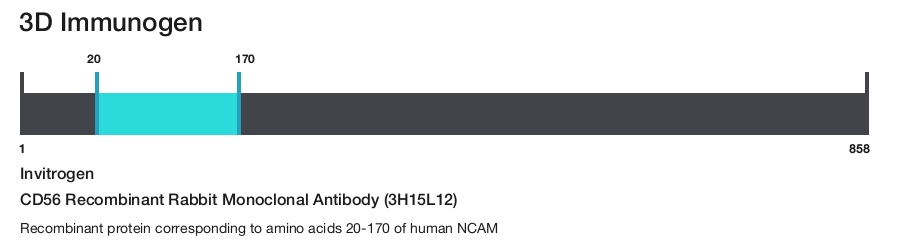 CD56 Recombinant Rabbit Monoclonal Antibody (3H15L12)