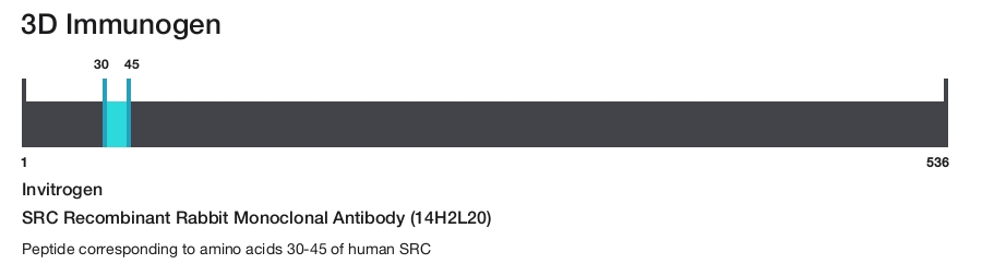SRC Recombinant Rabbit Monoclonal Antibody (14H2L20)