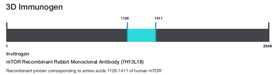 mTOR Recombinant Rabbit Monoclonal Antibody (7H13L18)