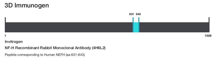 NF-H Recombinant Rabbit Monoclonal Antibody (4H6L2)