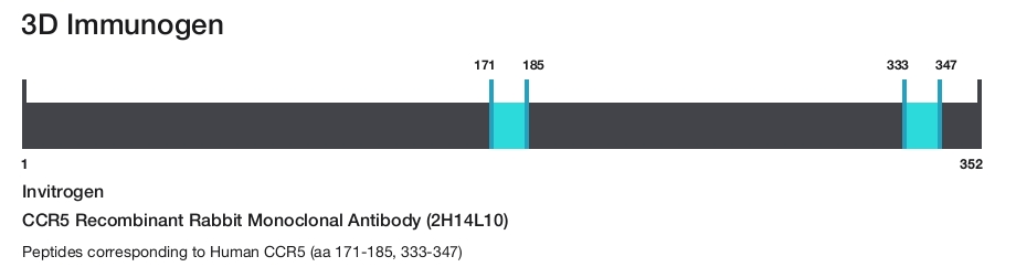 CCR5 Recombinant Rabbit Monoclonal Antibody (2H14L10)