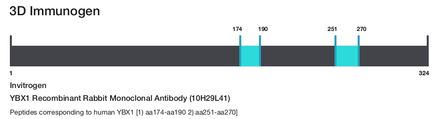 YBX1 Recombinant Rabbit Monoclonal Antibody (10H29L41)