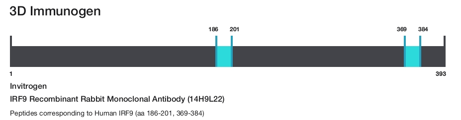 IRF9 Recombinant Rabbit Monoclonal Antibody (14H9L22)