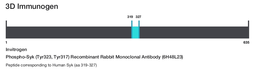 Phospho-Syk (Tyr323, Tyr317) Recombinant Rabbit Monoclonal Antibody (6H48L23)