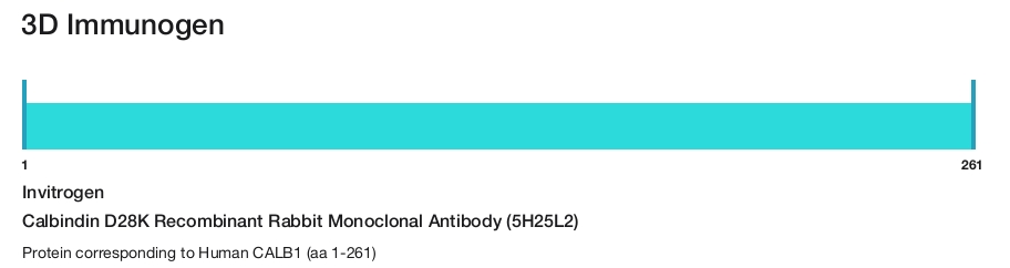 Calbindin D28K Recombinant Rabbit Monoclonal Antibody (5H25L2)