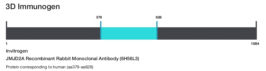JMJD2A Recombinant Rabbit Monoclonal Antibody (6H56L3)