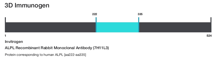 ALPL Recombinant Rabbit Monoclonal Antibody (7H11L3)