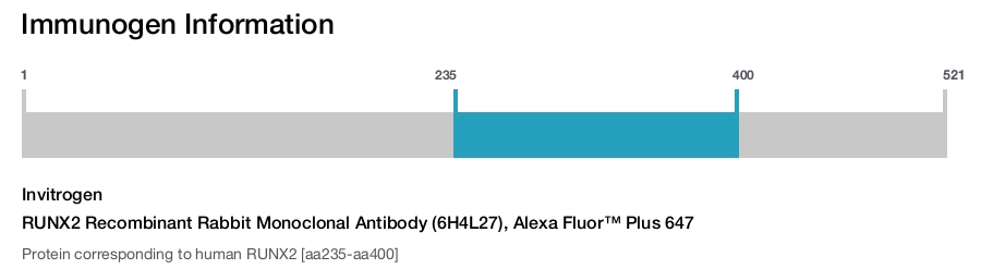 RUNX2 Recombinant Rabbit Monoclonal Antibody (6H4L27), Alexa Fluor™ Plus 647
