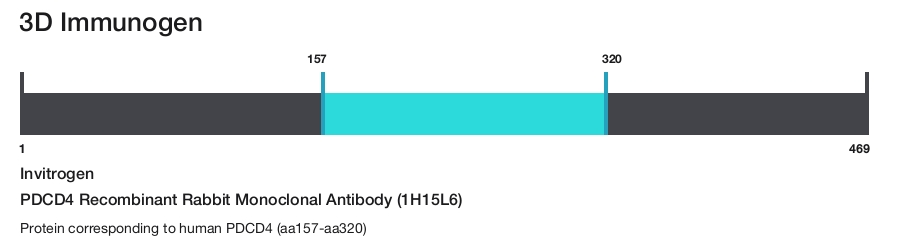 PDCD4 Recombinant Rabbit Monoclonal Antibody (1H15L6)