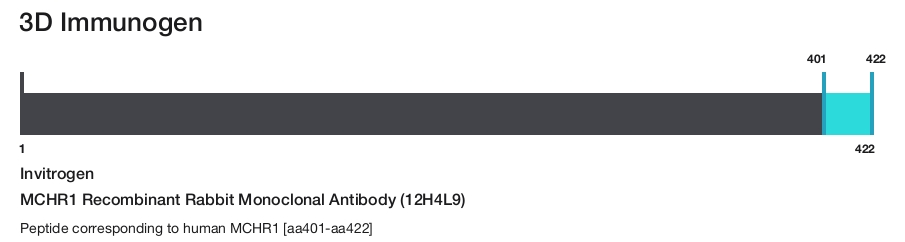 MCHR1 Recombinant Rabbit Monoclonal Antibody (12H4L9)