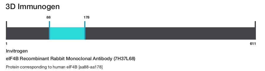 eIF4B Recombinant Rabbit Monoclonal Antibody (7H37L68)
