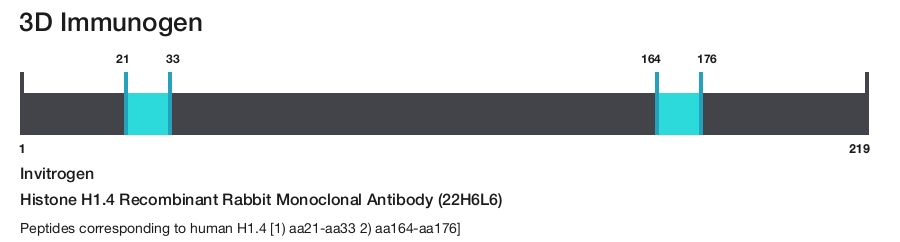 Histone H1.4 Recombinant Rabbit Monoclonal Antibody (22H6L6)