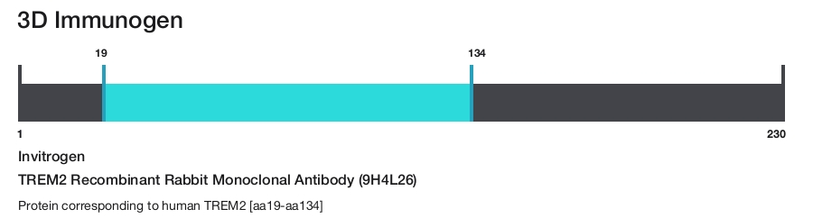 TREM2 Recombinant Rabbit Monoclonal Antibody (9H4L26)