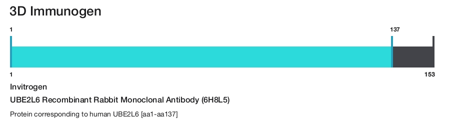 UBE2L6 Recombinant Rabbit Monoclonal Antibody (6H8L5)