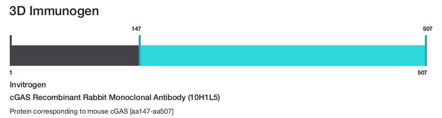 cGAS Recombinant Rabbit Monoclonal Antibody (10H1L5)