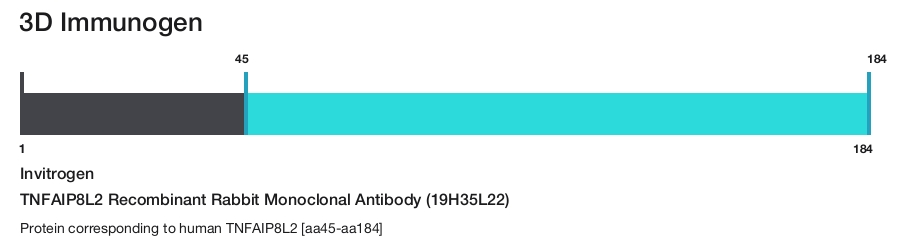 TNFAIP8L2 Recombinant Rabbit Monoclonal Antibody (19H35L22)