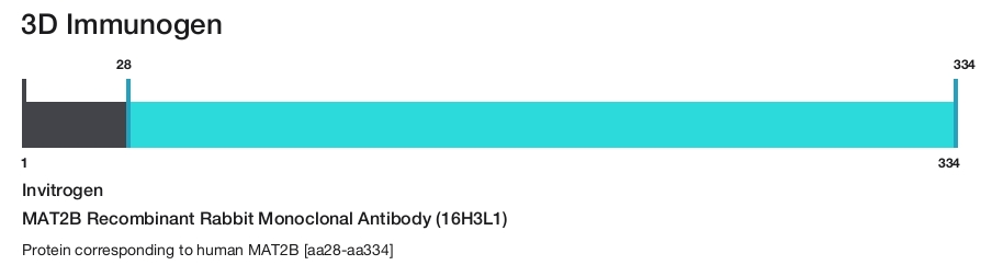 MAT2B Recombinant Rabbit Monoclonal Antibody (16H3L1)