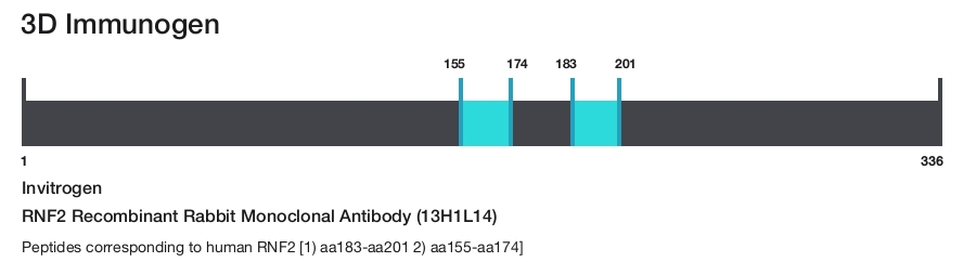 RNF2 Recombinant Rabbit Monoclonal Antibody (13H1L14)