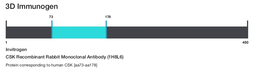 CSK Recombinant Rabbit Monoclonal Antibody (1H8L6)