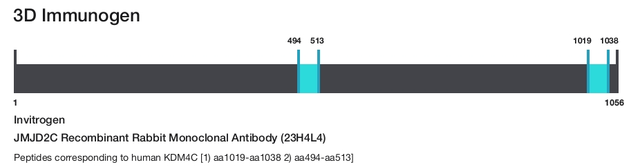 JMJD2C Recombinant Rabbit Monoclonal Antibody (23H4L4)