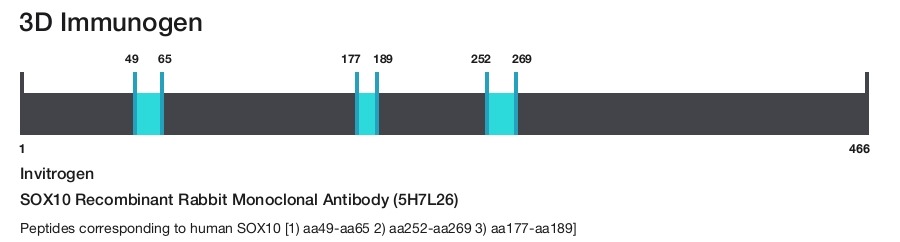SOX10 Recombinant Rabbit Monoclonal Antibody (5H7L26)
