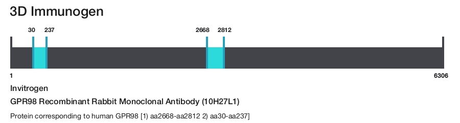 GPR98 Recombinant Rabbit Monoclonal Antibody (10H27L1)