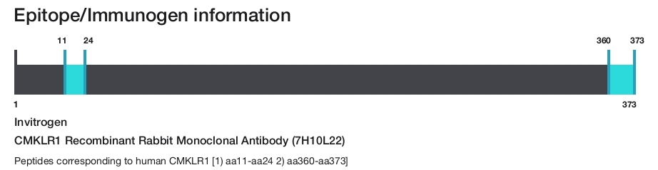 CMKLR1 Recombinant Rabbit Monoclonal Antibody (7H10L22)