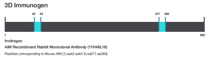 AIM Recombinant Rabbit Monoclonal Antibody (11H48L16)