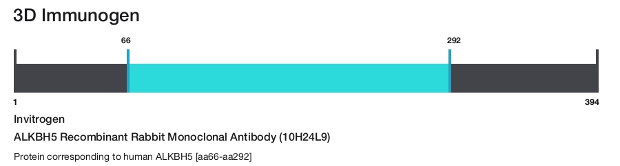 ALKBH5 Recombinant Rabbit Monoclonal Antibody (10H24L9)