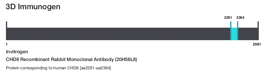 CHD8 Recombinant Rabbit Monoclonal Antibody (20H56L8)