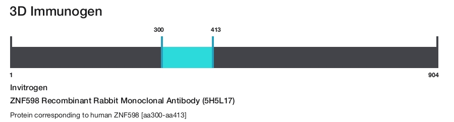 ZNF598 Recombinant Rabbit Monoclonal Antibody (5H5L17)