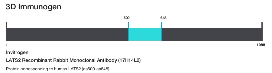 LATS2 Recombinant Rabbit Monoclonal Antibody (17H14L2)