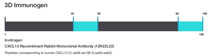 CXCL13 Recombinant Rabbit Monoclonal Antibody (12H22L22)